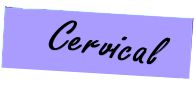 cervical