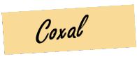 coxal