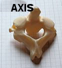 axis