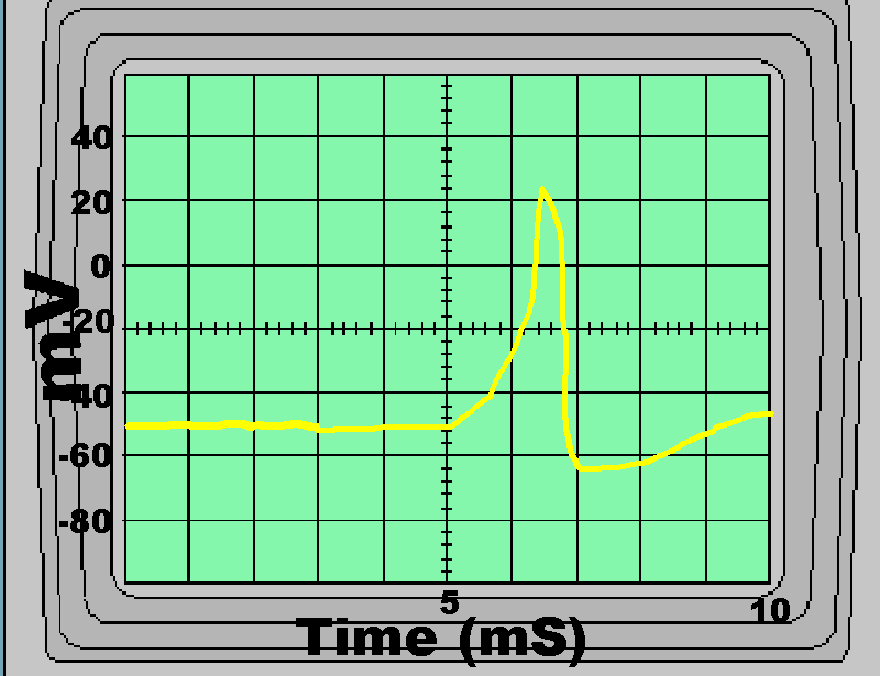 Sample Readout